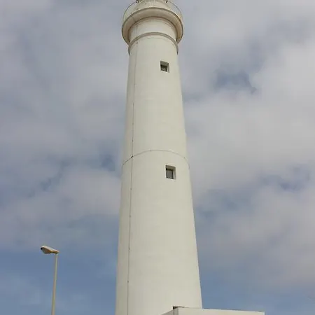 Casatua